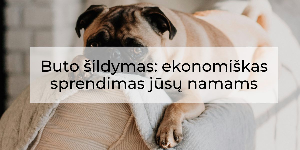 Buto šildymas: ekonomiškas sprendimas jūsų namams