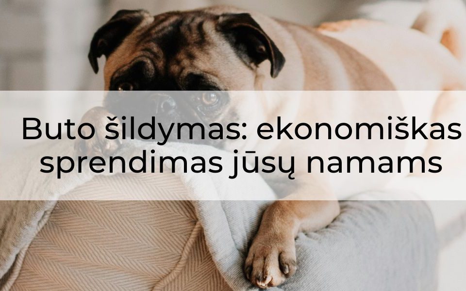 Buto šildymas: ekonomiškas sprendimas jūsų namams